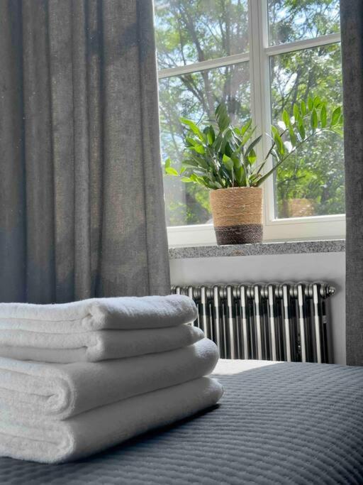 Loft Industrialny Przy Bulwarze Staromiejskim Apartment วรอตซวาฟ ภายนอก รูปภาพ